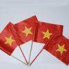 in cờ cầm tay