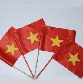 in cờ cầm tay